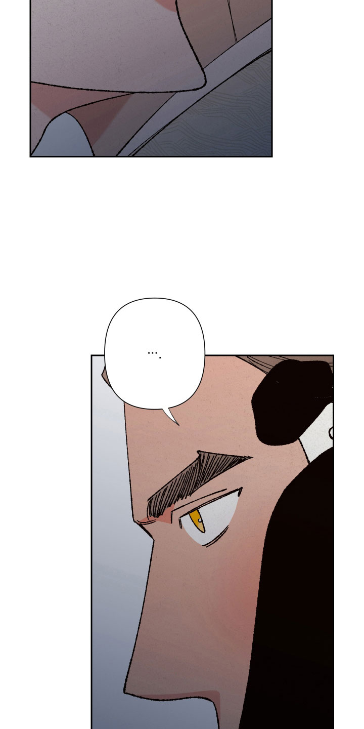 第18章：狐狸一样16