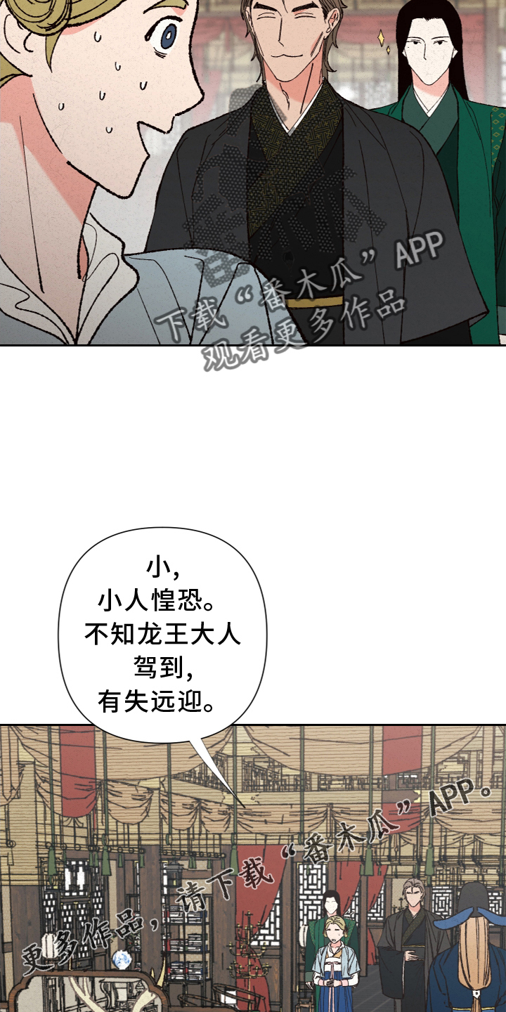 第25章：龙王驾到 11