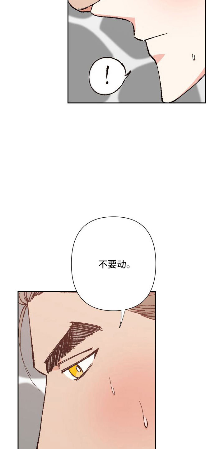 第31章：又想他了7