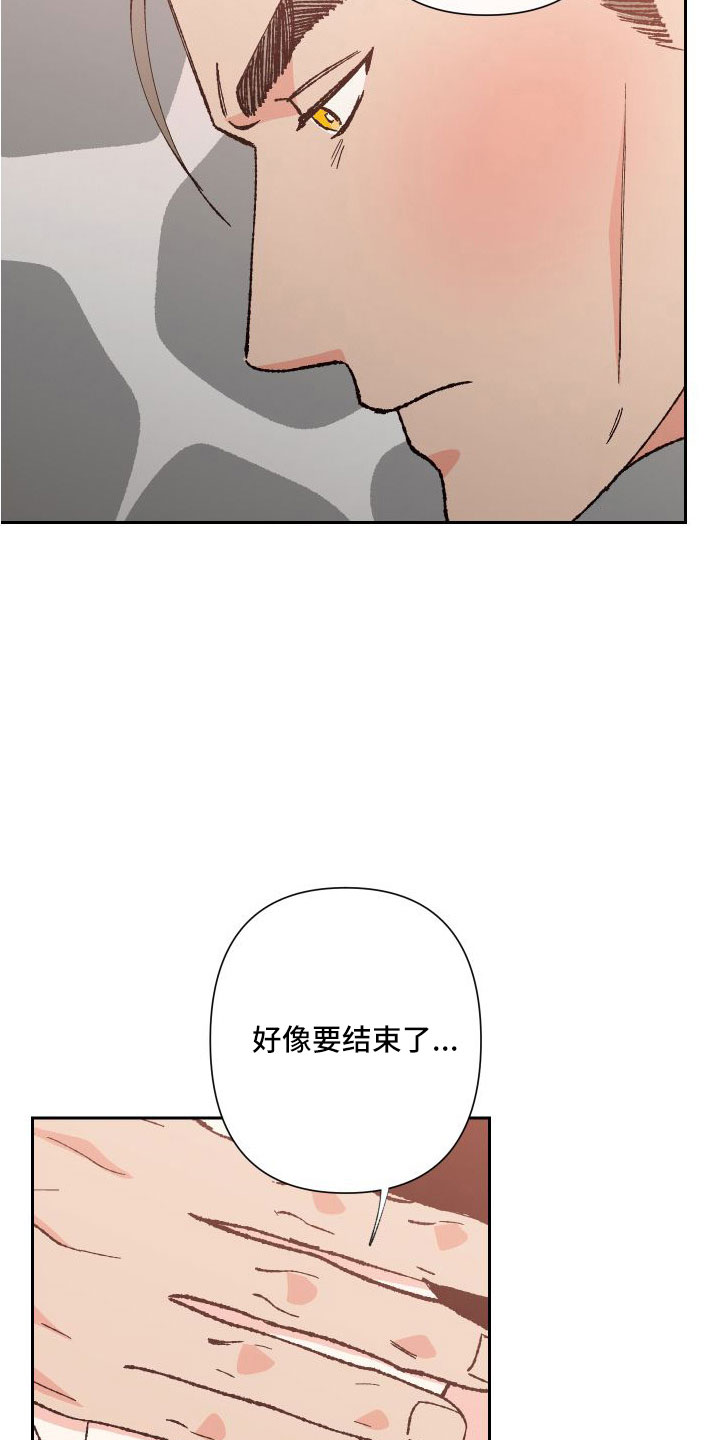 第31章：又想他了17