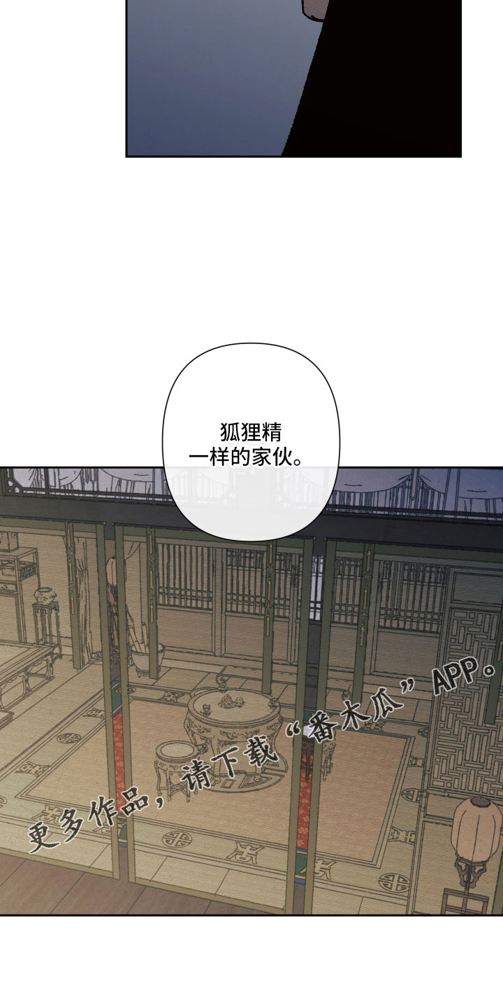 第18章：狐狸一样17