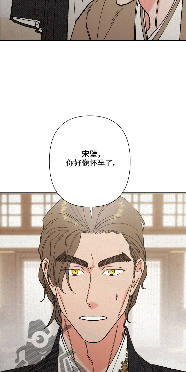 第36章：怀孕12