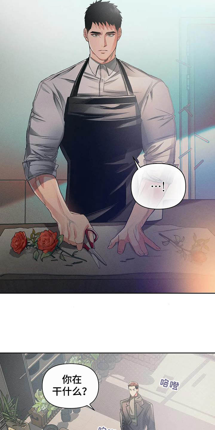 第17章：问好10