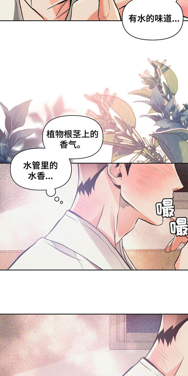 第54章：他是男的13
