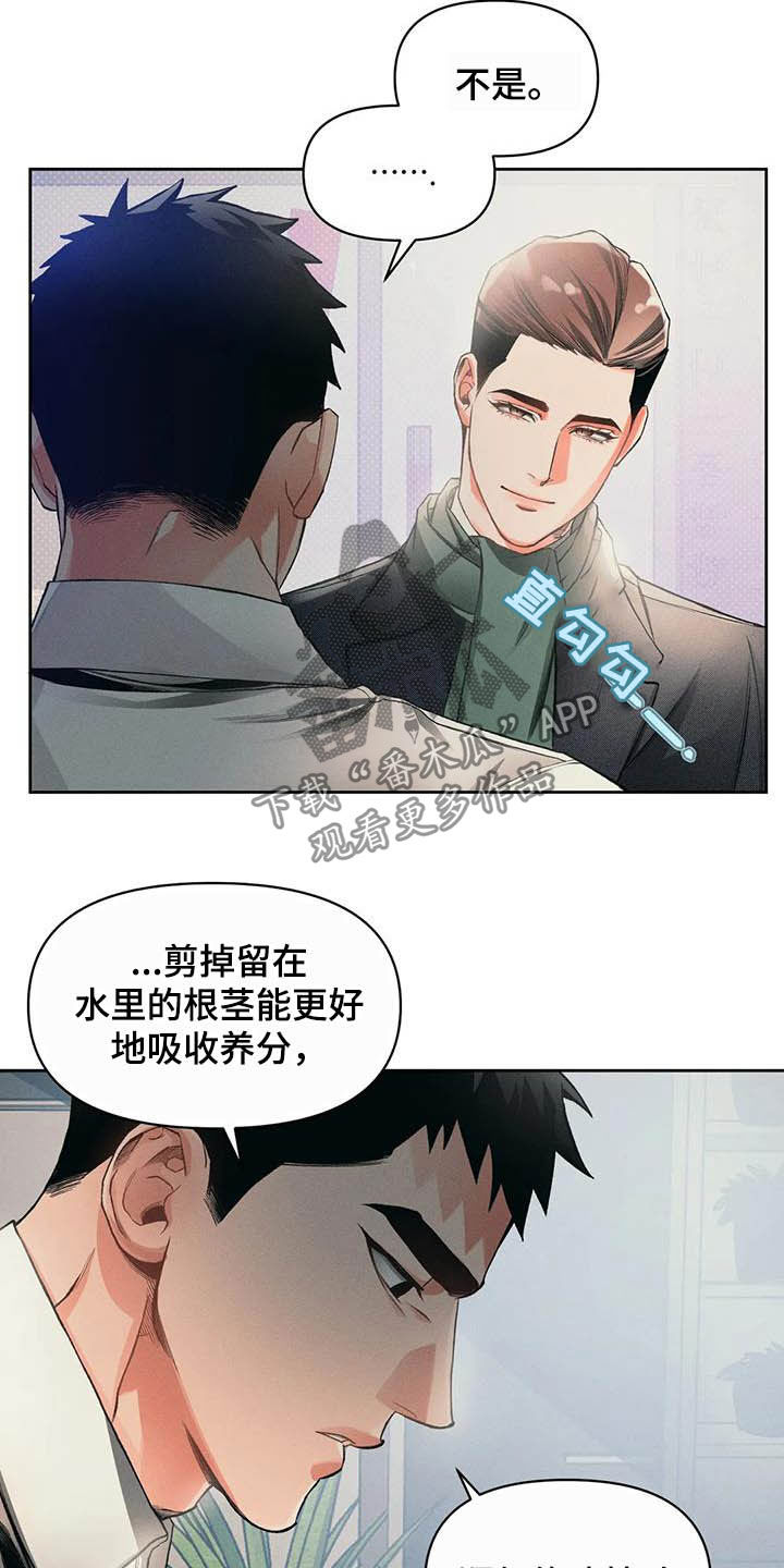 第17章：问好16