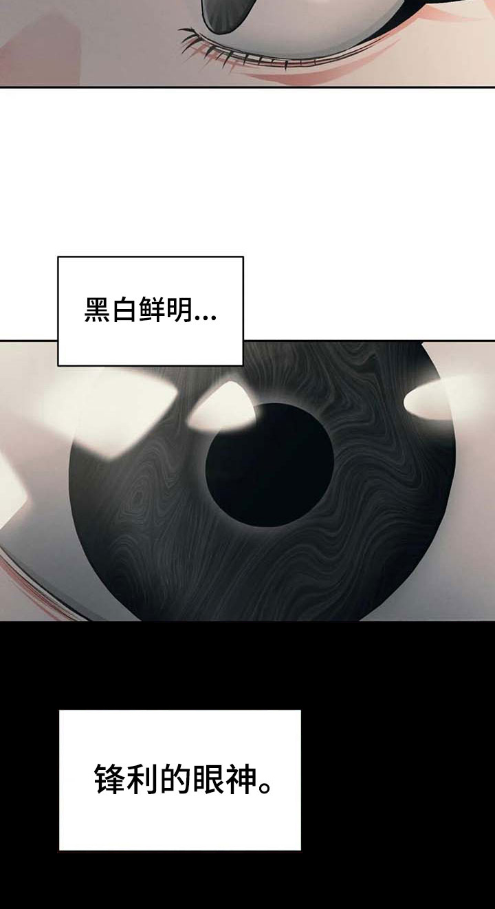 第8章：自我14