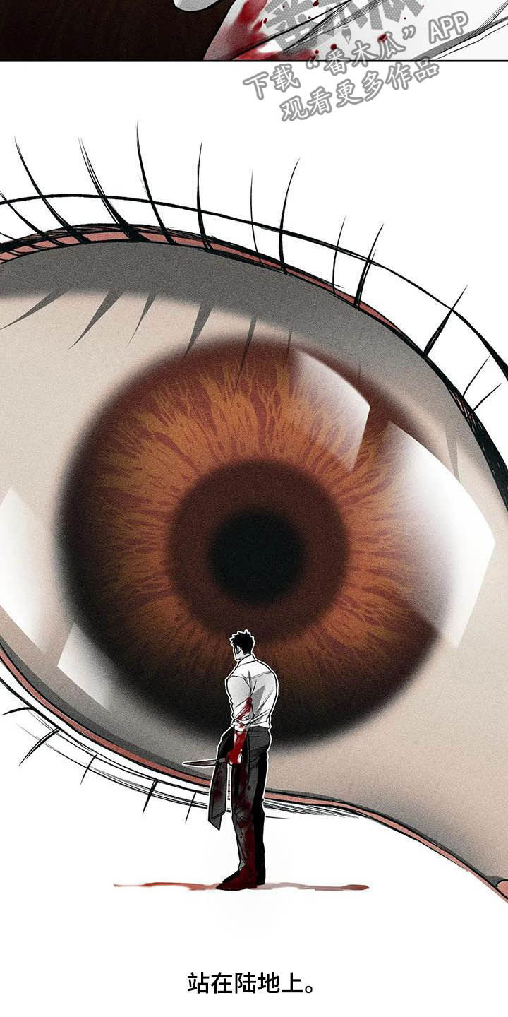 第13章：过去15
