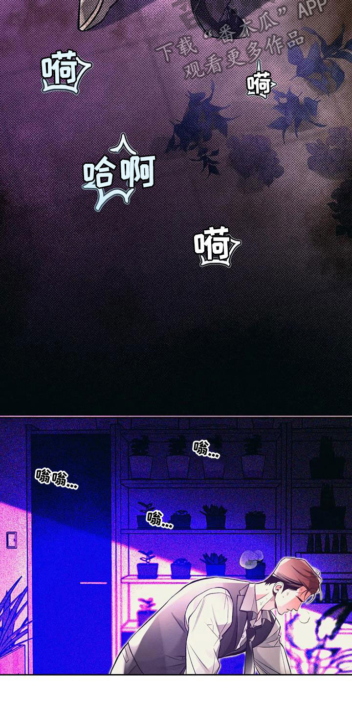 第45章：习惯了8