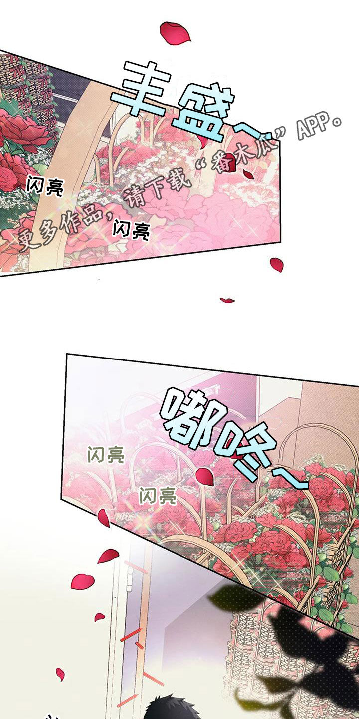 第29章：兄弟0