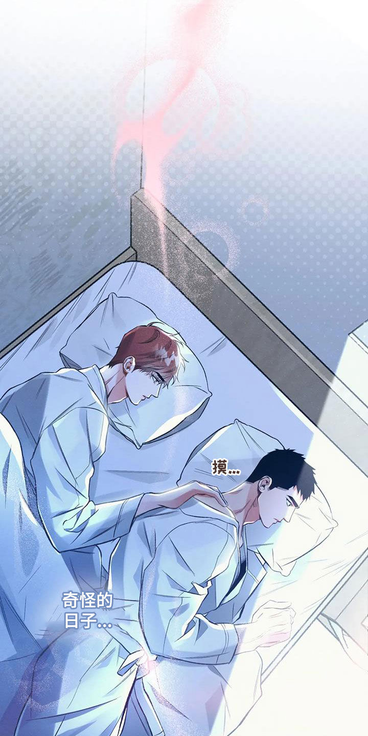 第36章：奇怪的日子12