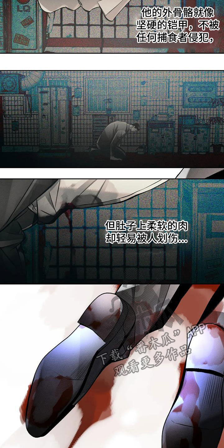 第47章：愚蠢至极14