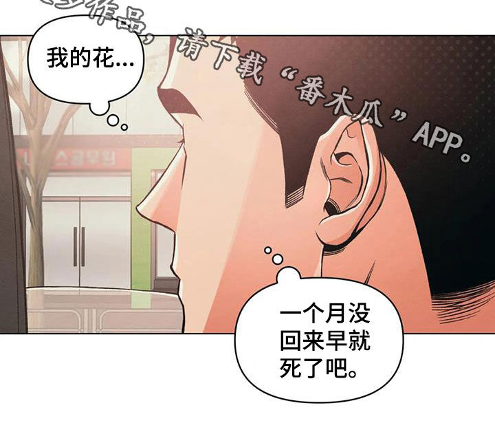 第73章：出院21
