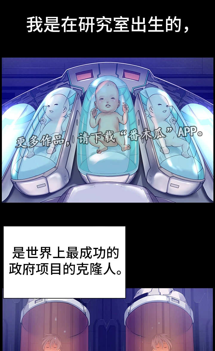 第23章：作战计划6