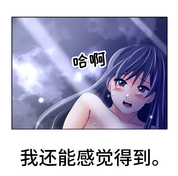 第23章：作战计划5