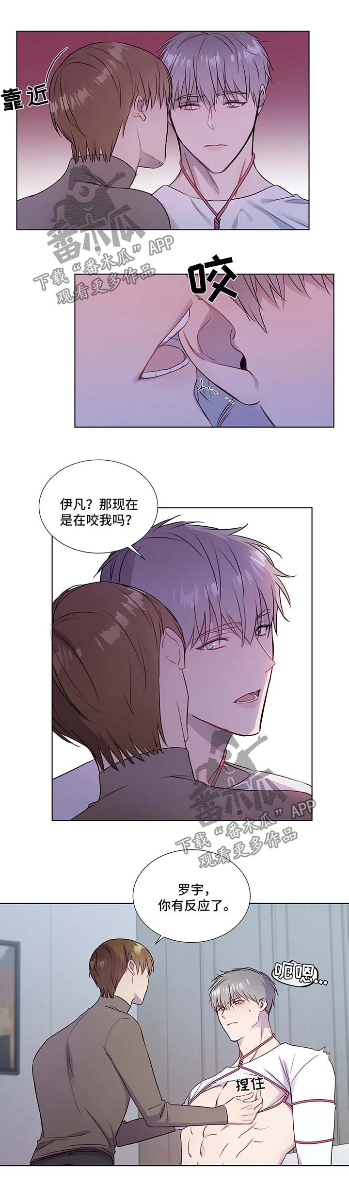 第28章：新课程6