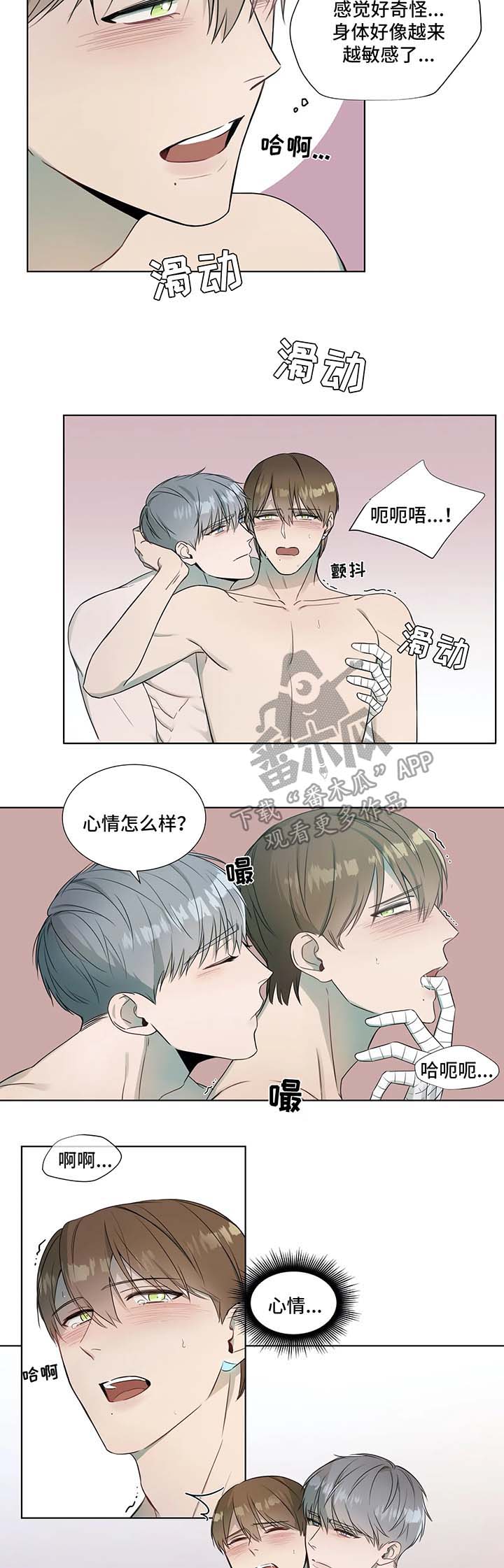 第19章：镜子中的我们3