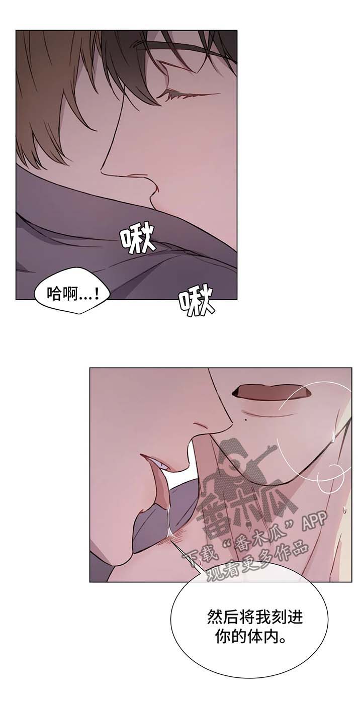 第52章：噩耗5