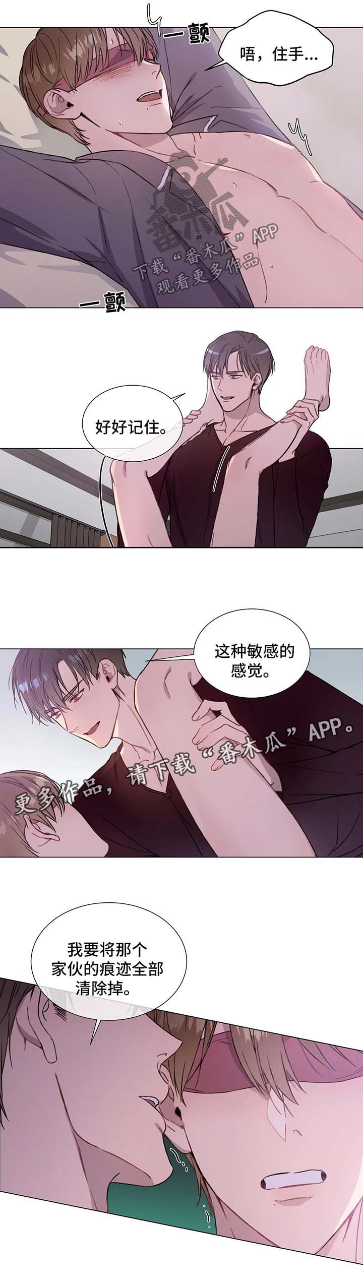 第52章：噩耗4