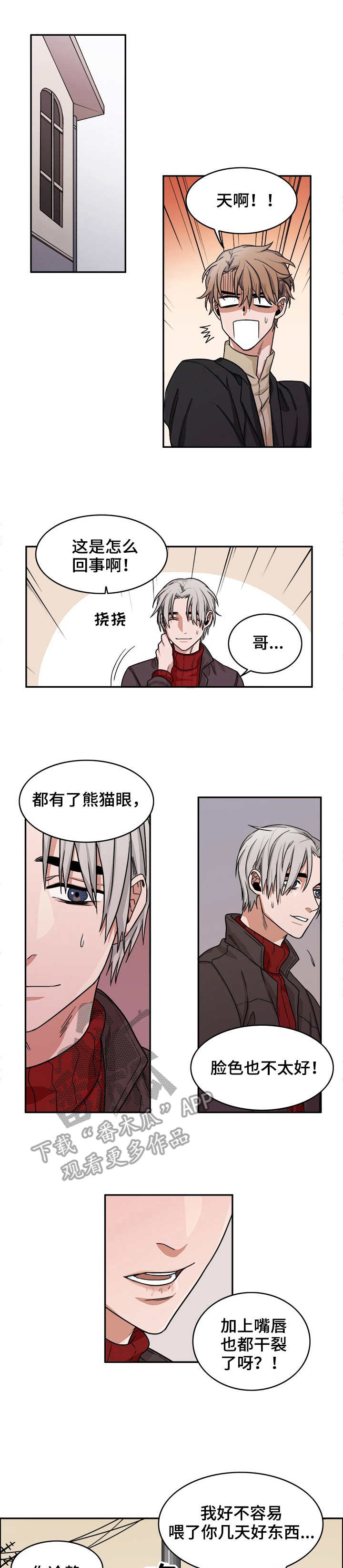 第13章：规则0