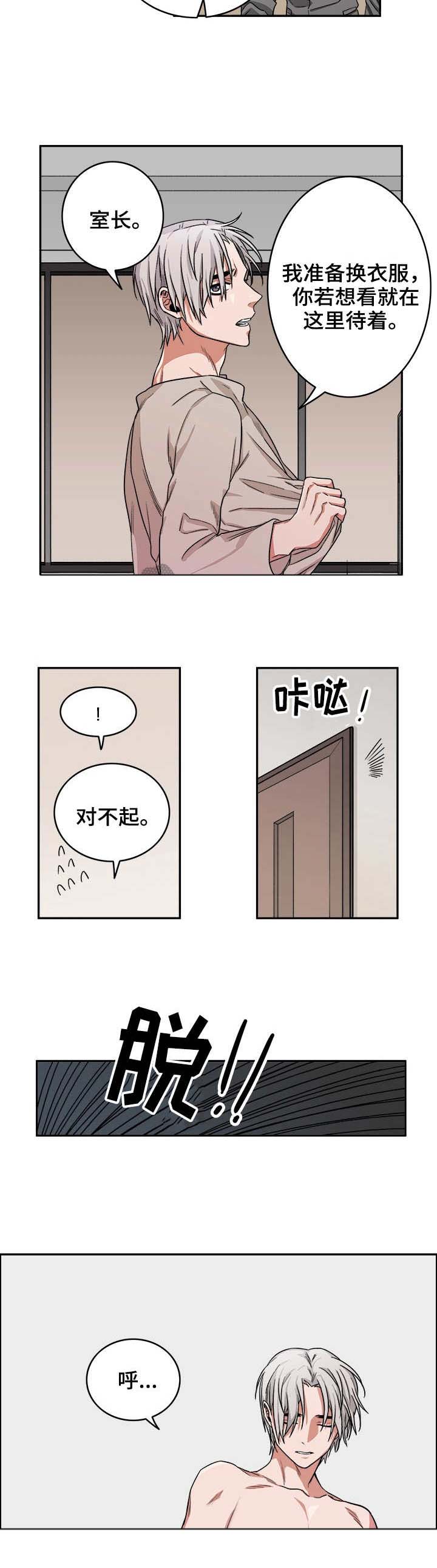 第12章：毒蛇6