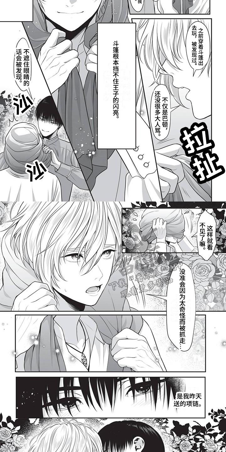 第21章：冒犯1