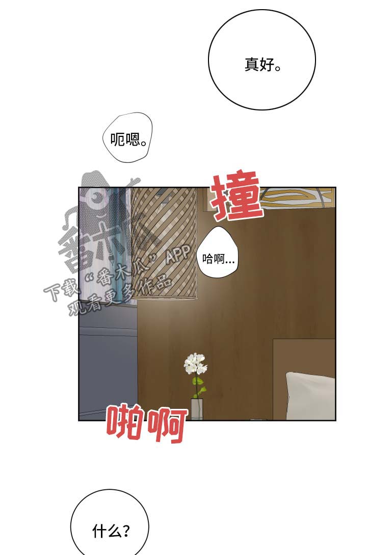 第15章：我全都要6