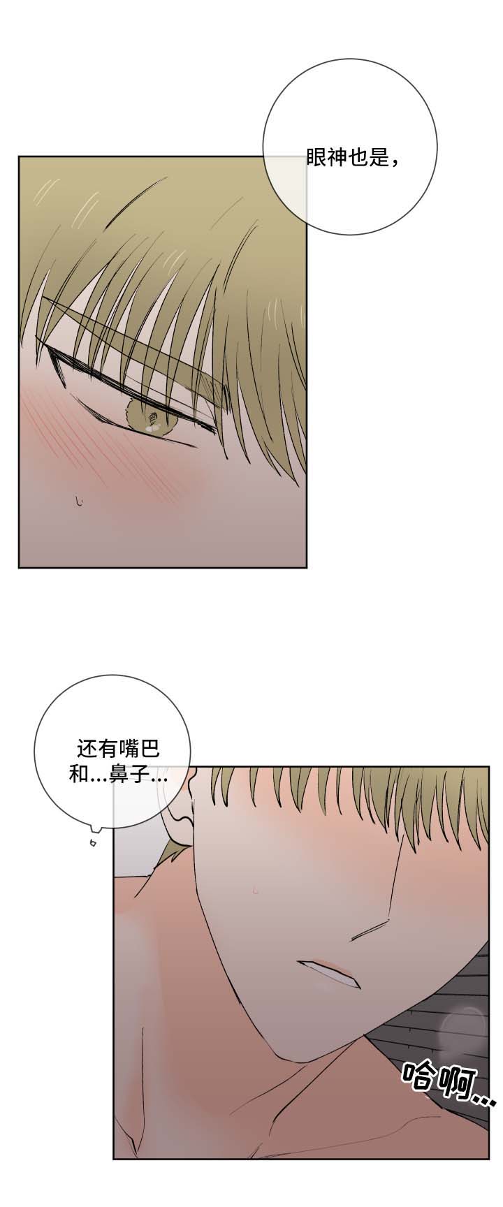 第26章：幻觉7