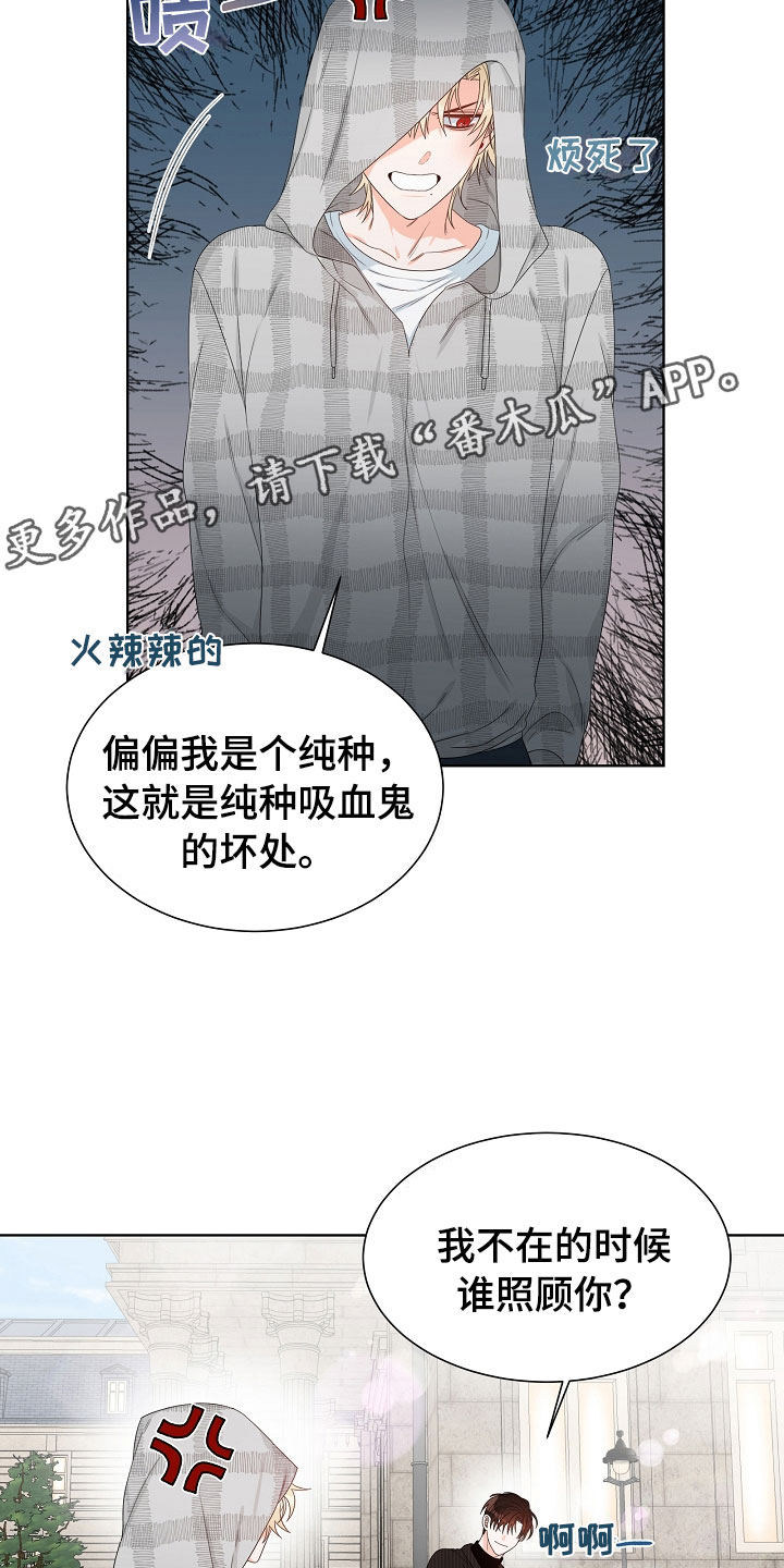 第4章：拌嘴22