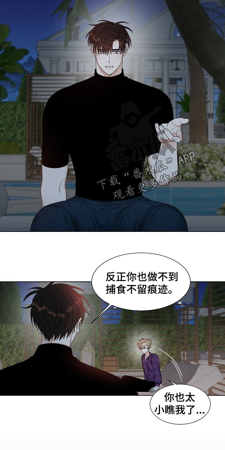 第17章：捕食7