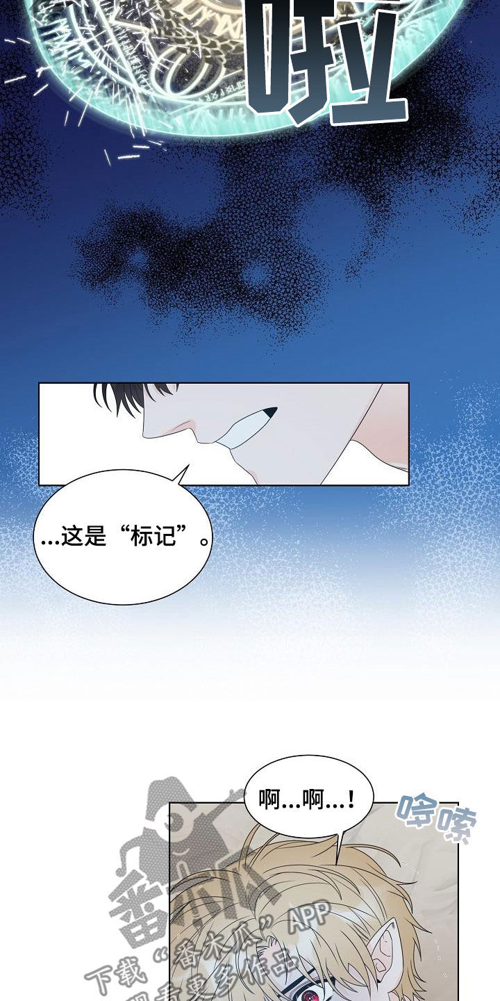 第46章：你毁了我！1