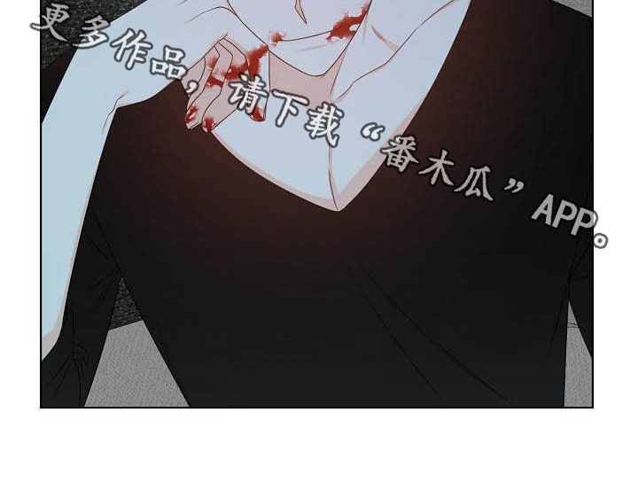第13章：给我等着17