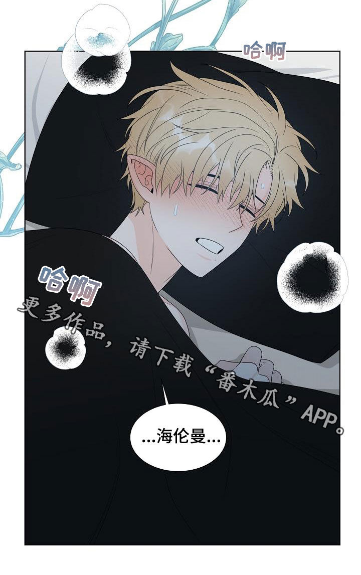 第42章：谁来救救我15