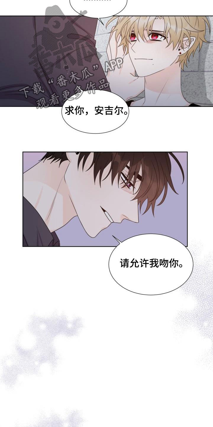 第62章：让我吻你（完结）13