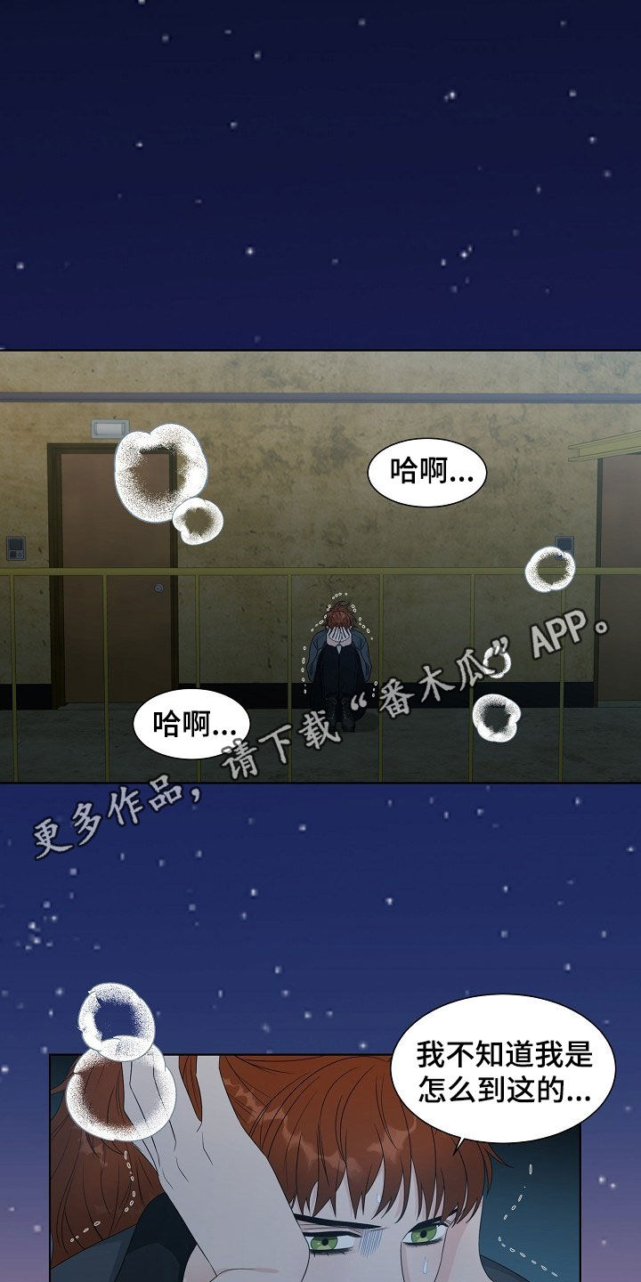第17章：捕食0