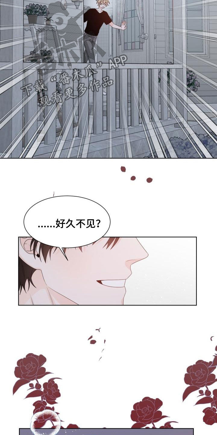 第62章：让我吻你（完结）8