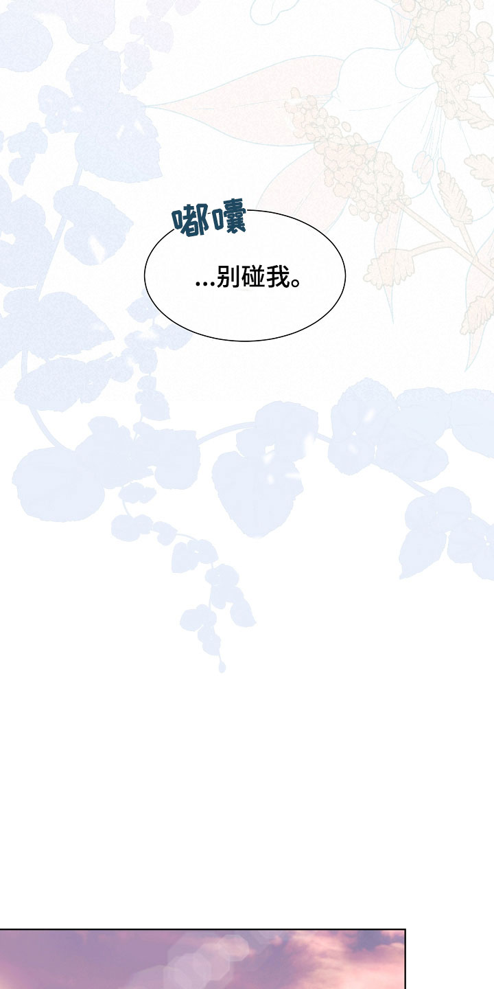 第3章：口是心非14