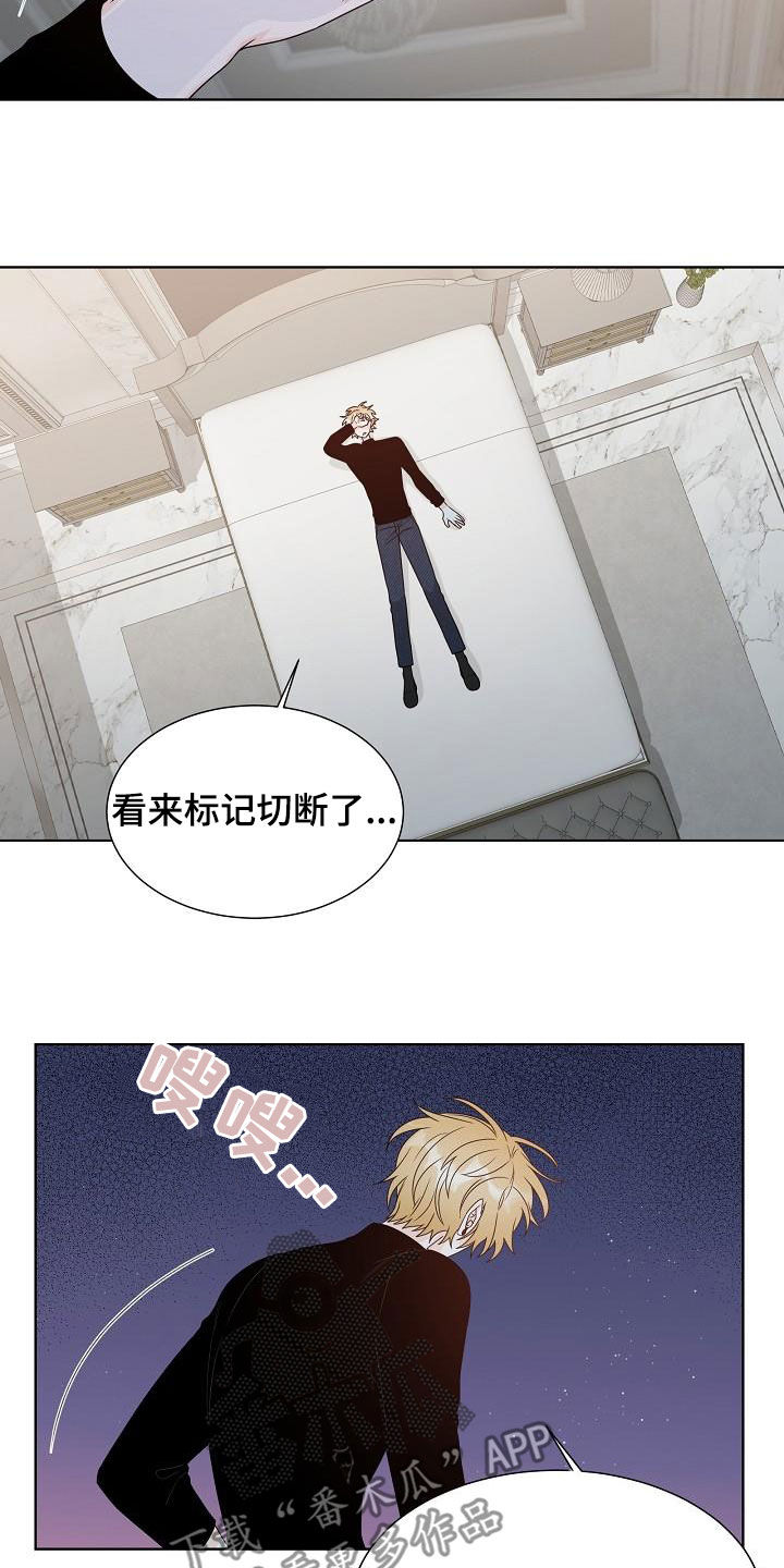第60章：没关系12