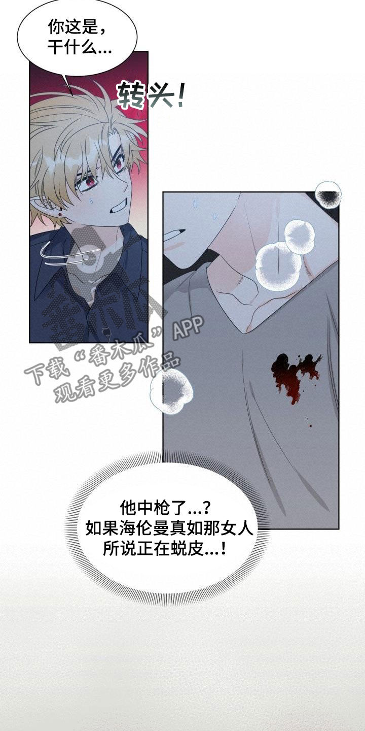 第51章：挡枪11
