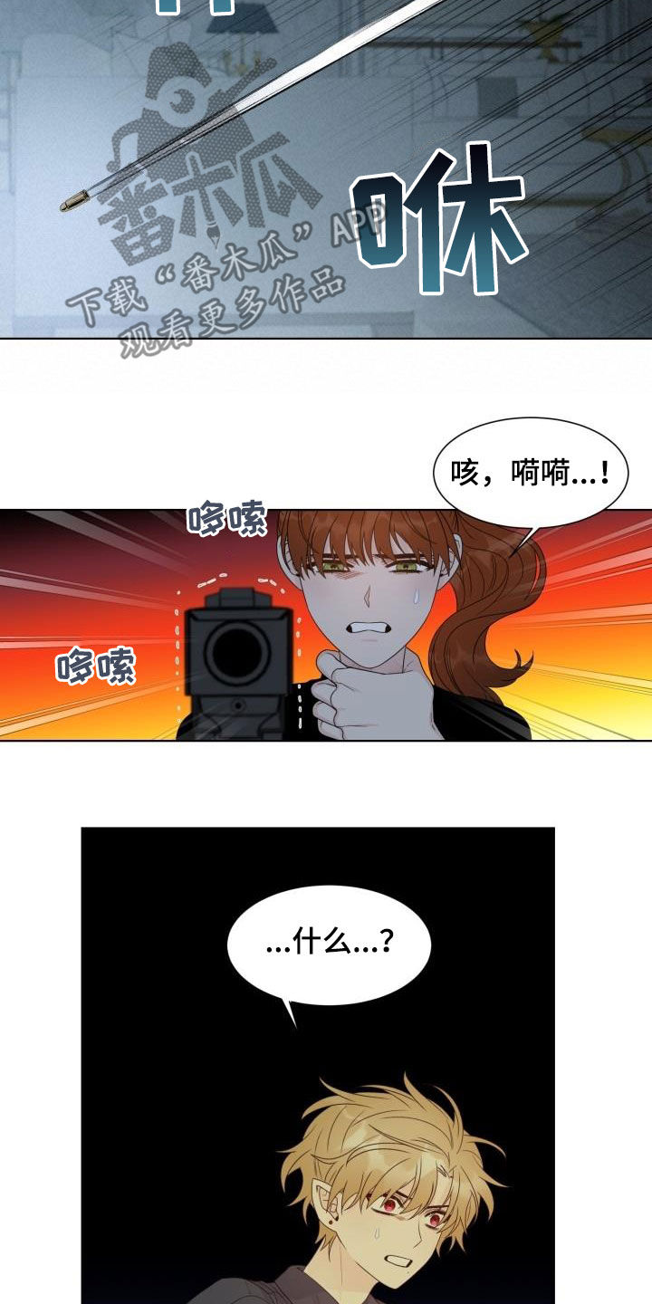 第52章：逃跑3