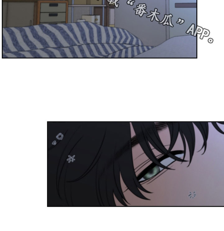 第33章：从未那么喜欢过20