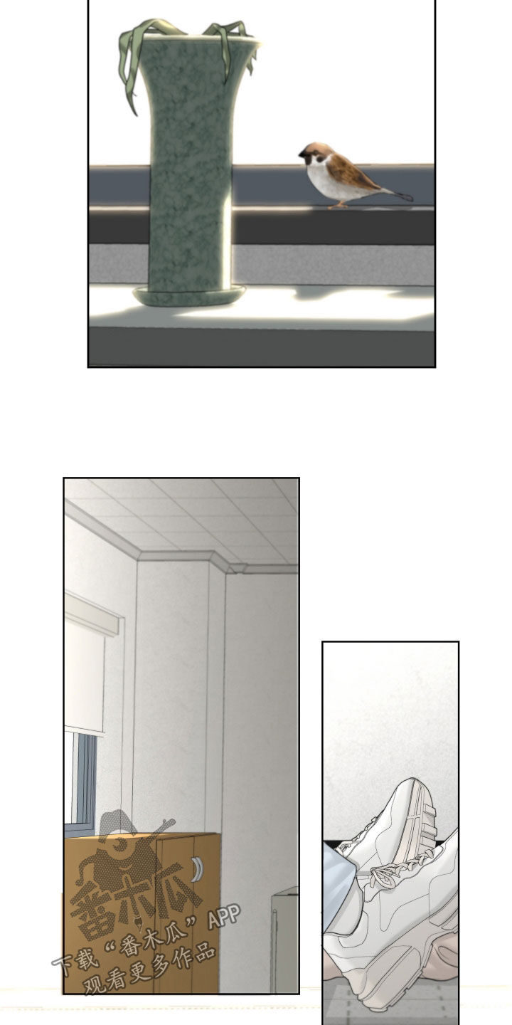 第37章：变种19