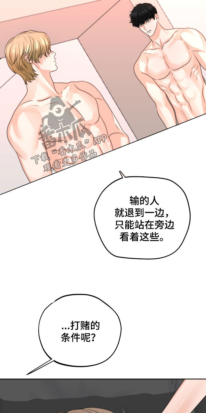 第50章：赌约14