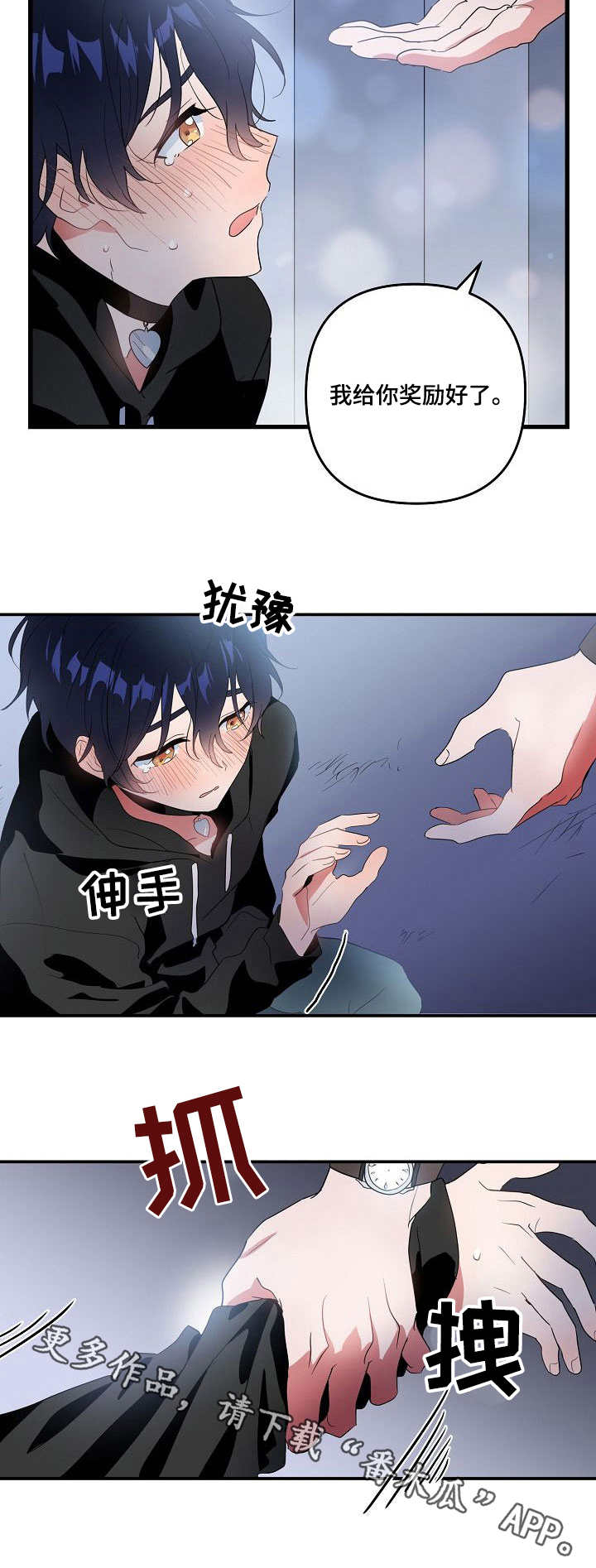 第13章：奖励4