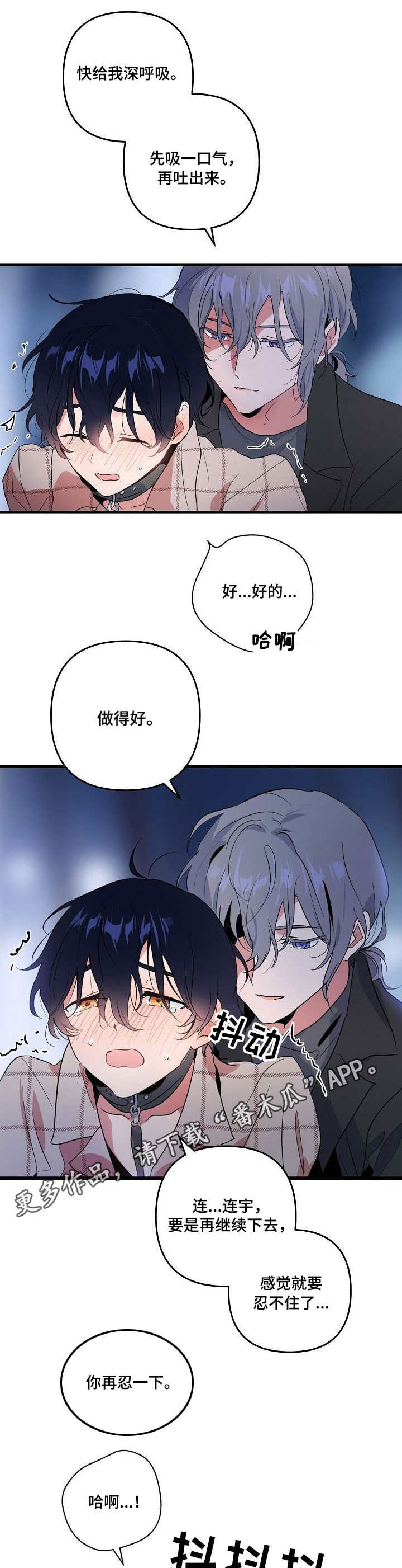 第17章：公园4
