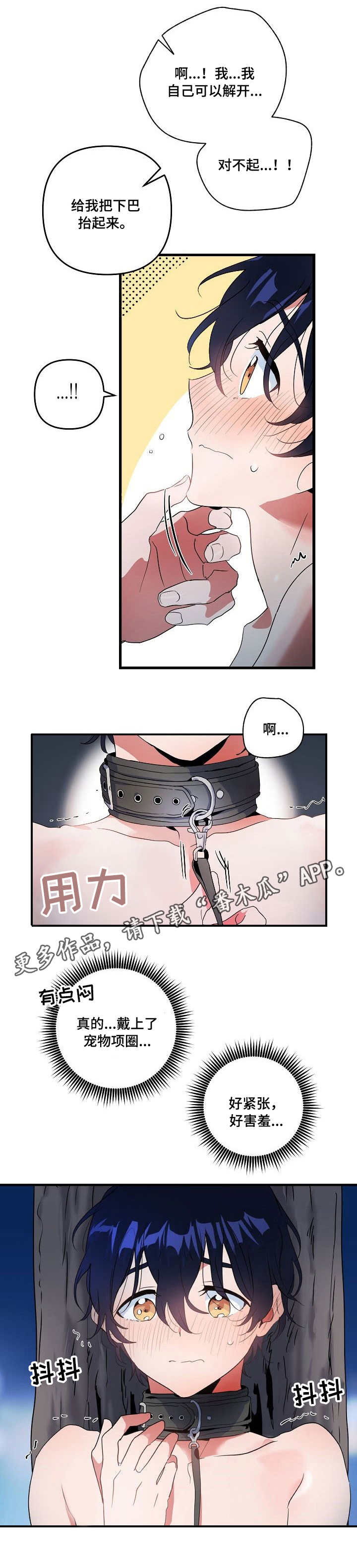 第16章：项圈9