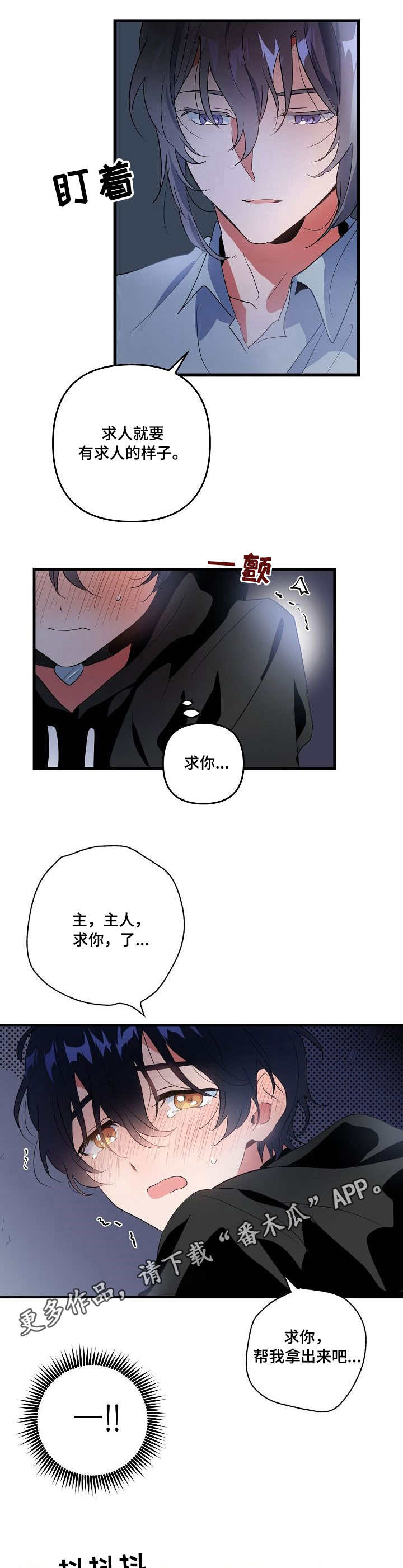 第13章：奖励7