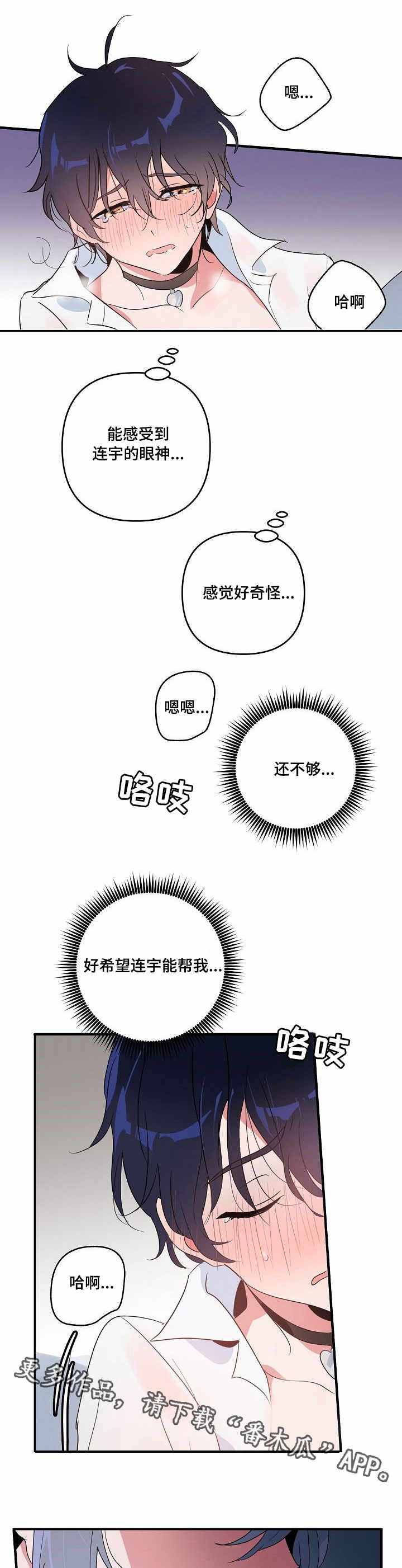 第8章：视频8