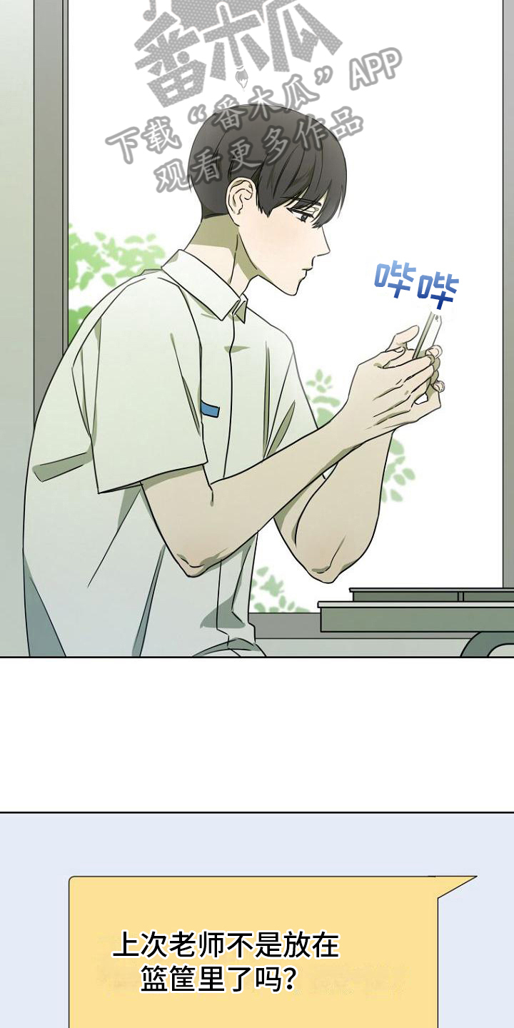 第29章：惊讶10