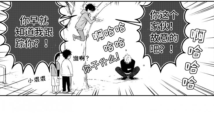 第8章：上树17