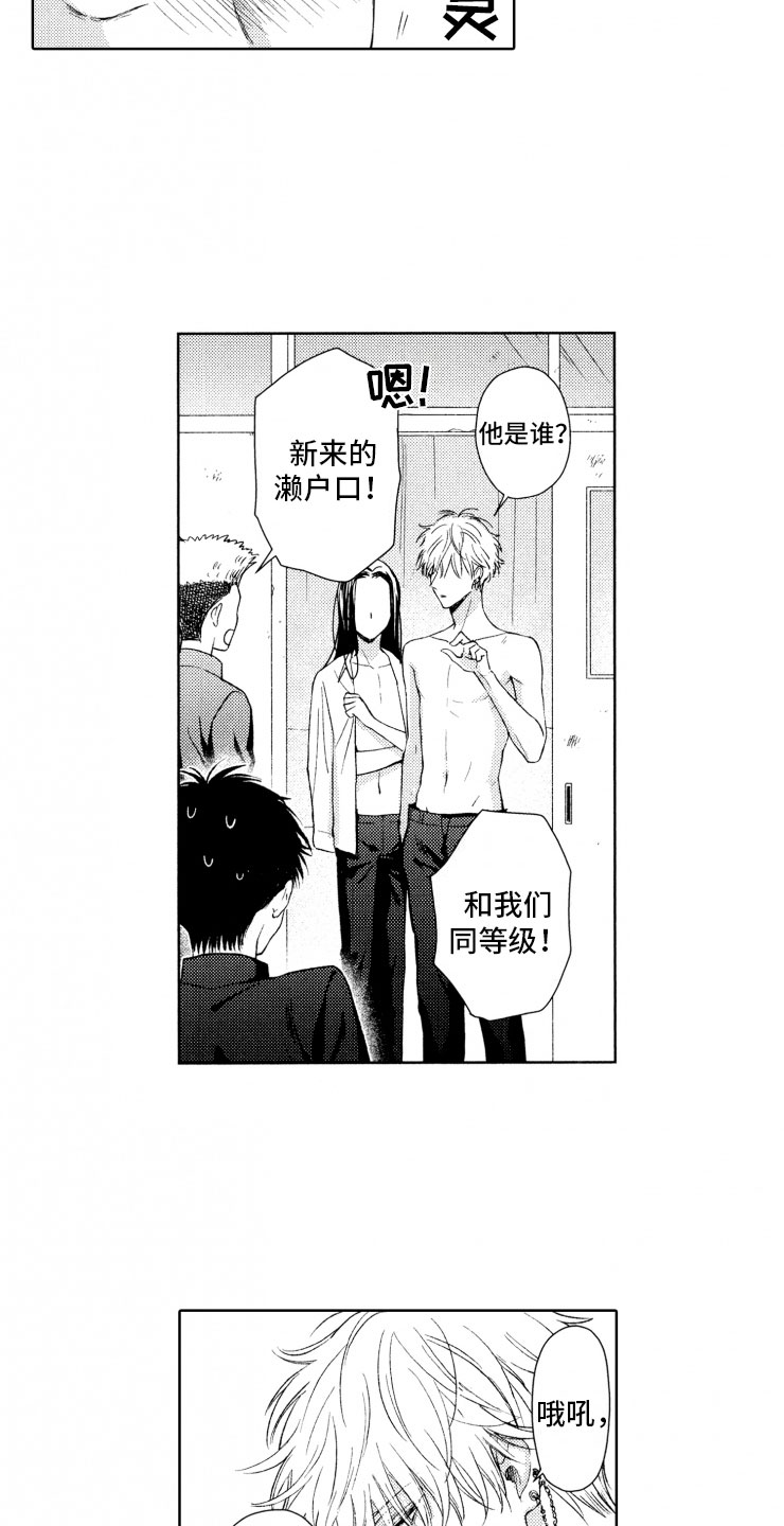 第1章：狗急跳墙9